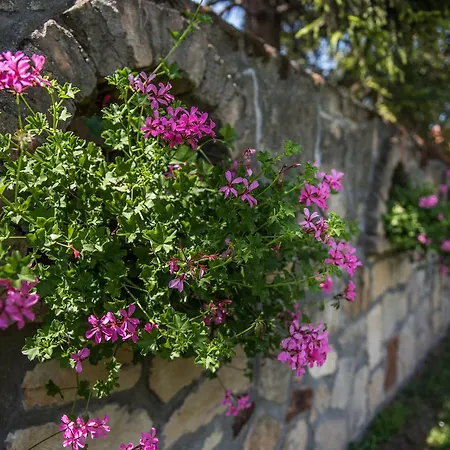 Topaz Apartmanhazak Apartamento *