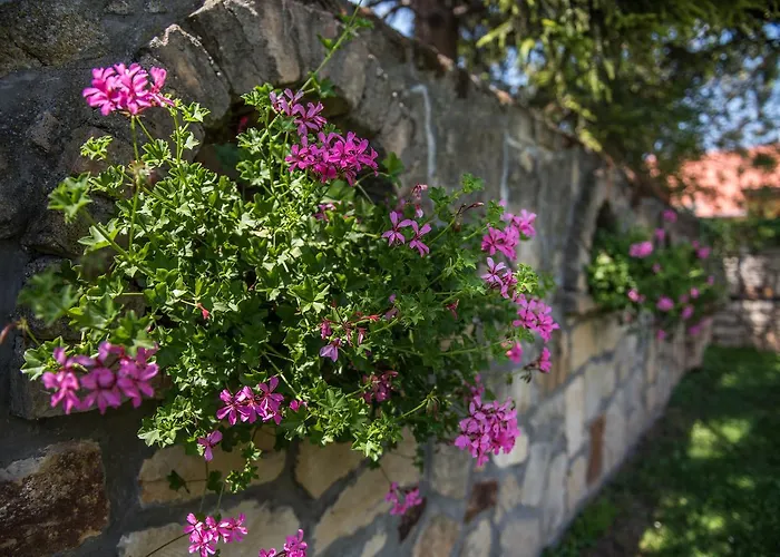 Topaz Apartmanhazak Appartement *